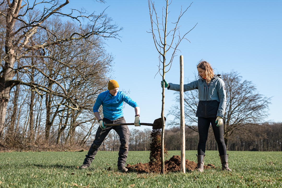 Doe mee aan plantactie en behoud Betuwse bongerds